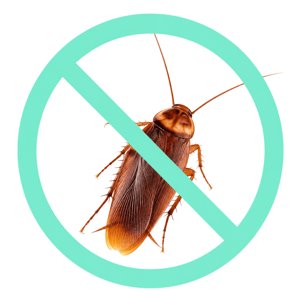 Dezinsekcia